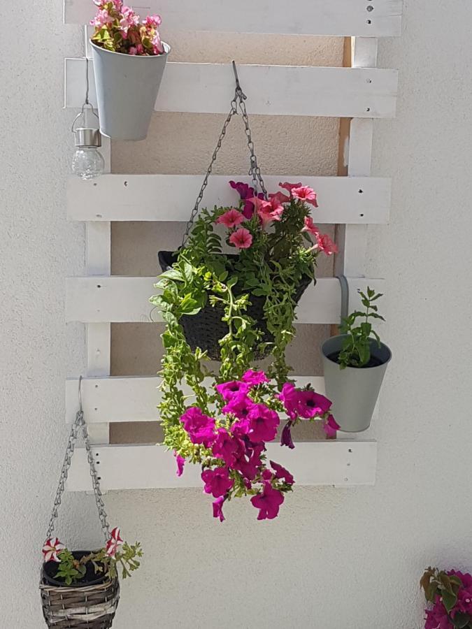 Apartmán Mirjana *
