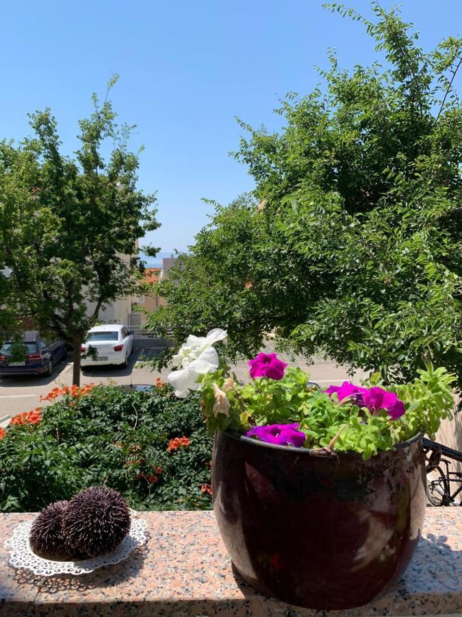 Apartment Mirjana Makarska
